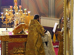 Епископ Россошанский и Острогожский Андрей совершил священническую хиротонию диакона Александра Панова, а также вручил Патриаршую грамоту и юбилейный знак О.А. Сумину