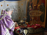 Глава Воронежской митрополии посетил с архипастырским визитом Россошанскую епархию
