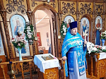В Павловске прошёл престольный праздник в честь иконы Божией Матери "Знамение, именуемая Павловской"