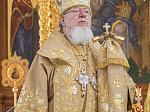 Епископ Россошанский и Острогожский Андрей принял участие в торжествах в день празднования Собора святых в земли Воронежской просиявших