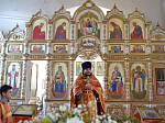 Престольный праздник Свято-Митрофановского храма с. Верхний Мамон