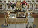 В день памяти Александра Невского в Свято-Митрофановском храме совершили праздничные богослужения и провели просветительскую акцию