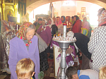 День пожилых на приходе Казанского храма с. Гнилое