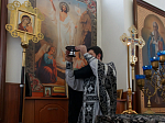 В Россоши совершена общая исповедь и приобщение Святых Таин духовенства Россошанского, Ольховатского и Подгоренского благочиний