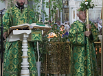 В Пятидесятницу в Свято-Ильинском соборе совершили праздничные богослужения