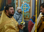 В Храмовом комплексе города Россоши встретили престольный праздник и совершили молитвенную память первого епископа Воронежского