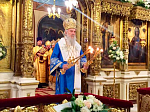 Епископ Россошанский и Острогожский Андрей сослужил Святейшему Патриарху Сербскому Иринею за Божественной литургией