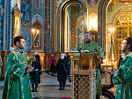 В день годовщины архиерейской хиротонии Глава Воронежской митрополии совершил Божественную литургию в Благовещенском кафедральном соборе