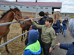 Воспитанники Воскресной школы посетили конюшню