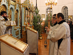 Прихожане Казанского храма п. Каменка встретили праздник Крещения Господня 