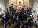 Праздник Святого Богоявления молитвенно встретили в Свято-Митрофановском храме