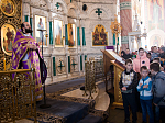 Епископ Россошанский и Острогожский Андрей совершил Божественную литургию в Неделю Торжества Православия