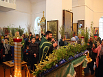 Накануне Недели ваий в Казанском храме совершили праздничное богослужение