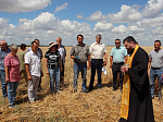 Труженики сельскохозяйственных предприятий района попросили благословения Божия перед уборкой нового урожая