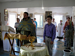 Богучарцы поклонились епархиальной святыне