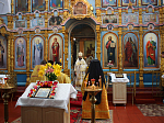 Епископ Россошанский и Острогожский Андрей совершил богослужение в с. Нижний Мамон
