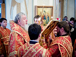 Духовенство и верующие Воронежской митрополии поздравили митрополита Сергия с годовщиной архиерейской хиротонии