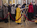 Воскресное архиерейское богослужение в Свято-Ильинском кафедральном соборе