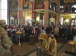 Епископ Россошанский и Острогожский Андрей совершил Божественную литургию и освятил иконы для иконостаса собора