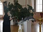 В понедельник первой седмицы Великого поста в Свято-Митрофановском храме совершили уставные богослужения