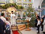 На Святочной неделе Архипастырь совершил богослужение в Казанском храме г. Павловска