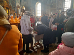 Паломники из Верхнемамонского района поклонились Великой святыне в Благовещенском соборе г. Воронеж