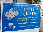 В Россоши активно проходит акция «Белый цветок»