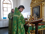 в Свято-Тихоновском соборном храме г. Острогожска встретили праздник Пятидесятницы