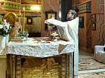 В Ильинском кафедральном соборе совершили праздничное богослужение в Рождество Христово