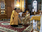 Глава Воронежской митрополии совершил Божественную литургию, пресвитерскую и диаконскую хиротонии