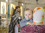 Глава Россошанской епархии совершил литургию в Свято-Ильинском кафедральном соборе