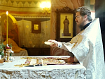 В Ильинском кафедральном соборе совершили праздничное богослужение в Рождество Христово