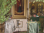 День Святой Троицы в Острогожске