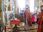 Богослужение Светлой субботы в Свято-Ильинском кафедральном соборе г. Россошь