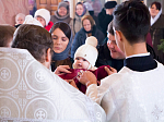 Соборное богослужение в Свято-Ильинском кафедральном соборе г. Россошь