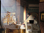 Богослужение в день обретения мощей свт. Митрофана, первого епископа Воронежского