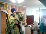 Богослужения в праздник Святой Троицы