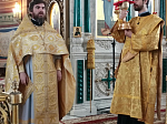 В Ильинском кафедральном соборе почтили память Собора вселенских учителей