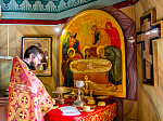 Престольный праздник Свято-Ильинского кафедрального собора г. Россошь
