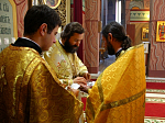 Епископ Россошанский и Острогожский Андрей принял поздравления в День своего тезоименитства