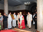 Епископ Россошанский и Острогожский Андрей принял участие в наречении архимандрита Исихия (Рогича) во епископа Мохачского