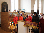 Вербное воскресение встретили в Свято-Митрофановском храме