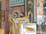 Служба в день Собора Воронежских святых в Ильинском кафедральном соборе