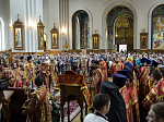 Мощи св. Феодора Ушакова прибыли в Благовещенский кафедральный собор г. Воронежа