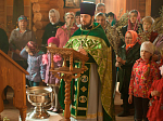Вербное воскресенье в селе Петренково