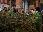 В Цветоносную неделю в Ильинском кафедральном соборе совершили праздничные богослужения