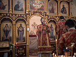 Архипастырь совершил чин Великого освящения храма Вознесения Господня в х. Витебск