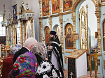 Соборная служба в Казанском храме поселка Каменка