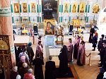 Глава Россошанской епархии совершил молебен пред иконой Божией Матери «Сладкое лобзание»