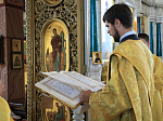 Архипастырь помолился в день памяти собора преподобных отцов Псковско-Печерских